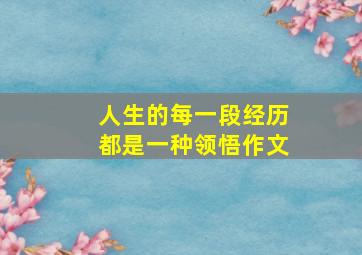 人生的每一段经历都是一种领悟作文