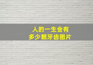 人的一生会有多少颗牙齿图片