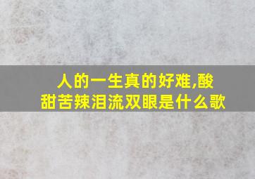 人的一生真的好难,酸甜苦辣泪流双眼是什么歌