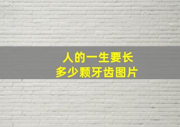 人的一生要长多少颗牙齿图片