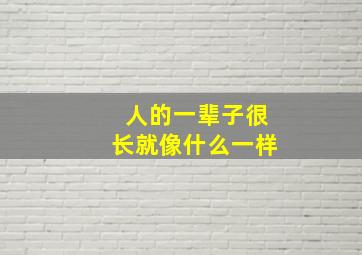 人的一辈子很长就像什么一样