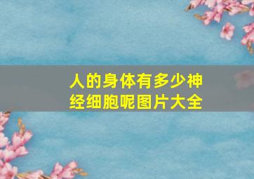 人的身体有多少神经细胞呢图片大全