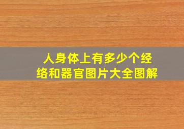 人身体上有多少个经络和器官图片大全图解