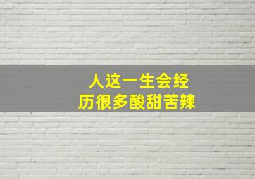 人这一生会经历很多酸甜苦辣