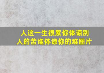 人这一生很累你体谅别人的苦谁体谅你的难图片