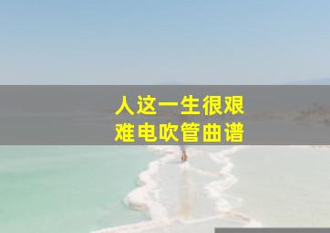 人这一生很艰难电吹管曲谱