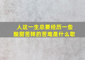 人这一生总要经历一些酸甜苦辣的苦难是什么歌