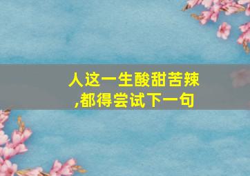 人这一生酸甜苦辣,都得尝试下一句