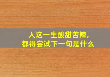 人这一生酸甜苦辣,都得尝试下一句是什么