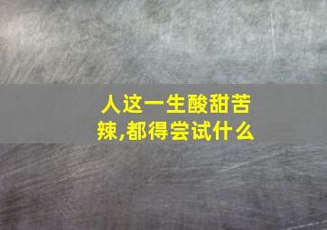 人这一生酸甜苦辣,都得尝试什么