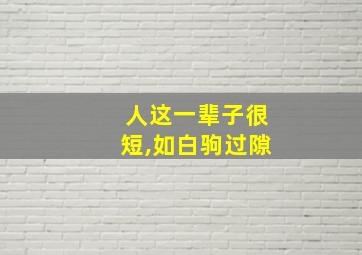 人这一辈子很短,如白驹过隙