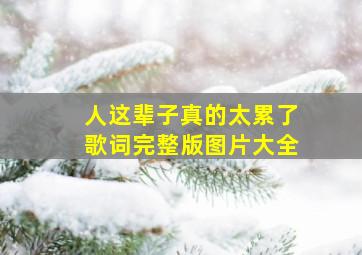 人这辈子真的太累了歌词完整版图片大全