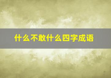 什么不敢什么四字成语