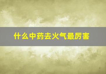 什么中药去火气最厉害