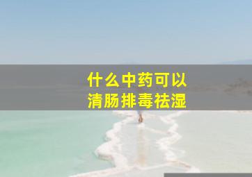 什么中药可以清肠排毒祛湿