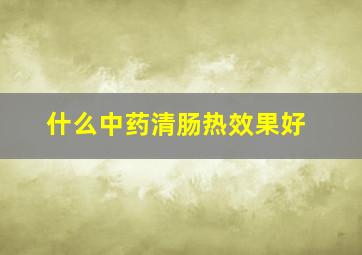 什么中药清肠热效果好