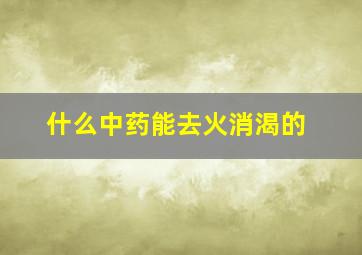 什么中药能去火消渴的