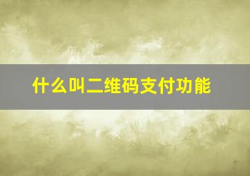 什么叫二维码支付功能