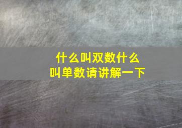 什么叫双数什么叫单数请讲解一下