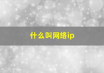 什么叫网络ip