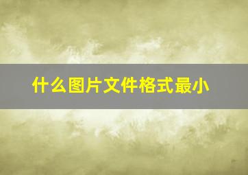 什么图片文件格式最小