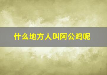 什么地方人叫阿公鸡呢