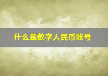 什么是数字人民币账号