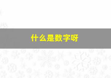 什么是数字呀