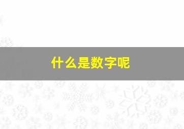 什么是数字呢