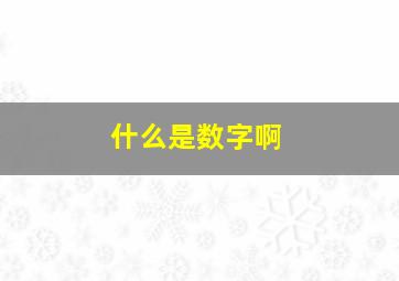 什么是数字啊