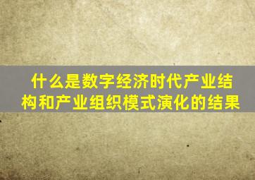 什么是数字经济时代产业结构和产业组织模式演化的结果