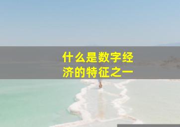 什么是数字经济的特征之一