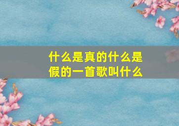 什么是真的什么是假的一首歌叫什么