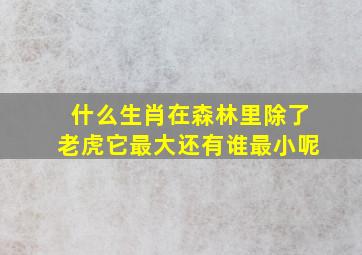 什么生肖在森林里除了老虎它最大还有谁最小呢