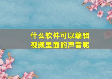 什么软件可以编辑视频里面的声音呢