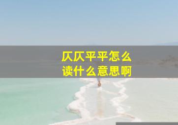 仄仄平平怎么读什么意思啊