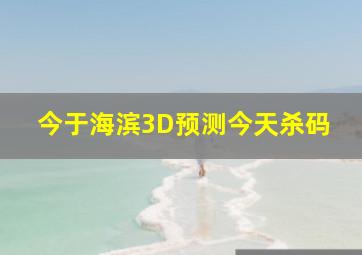 今于海滨3D预测今天杀码