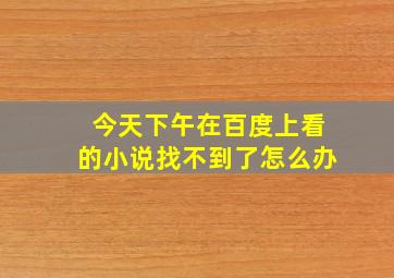 今天下午在百度上看的小说找不到了怎么办