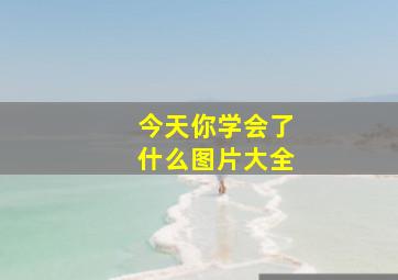 今天你学会了什么图片大全