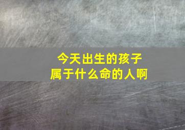 今天出生的孩子属于什么命的人啊