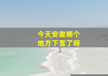 今天安徽哪个地方下雪了呀