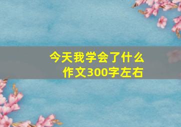 今天我学会了什么作文300字左右