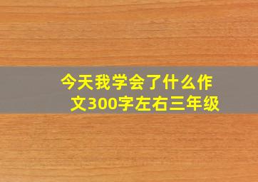 今天我学会了什么作文300字左右三年级