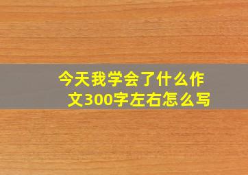 今天我学会了什么作文300字左右怎么写