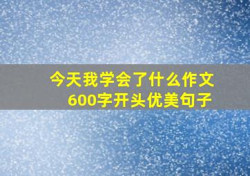 今天我学会了什么作文600字开头优美句子