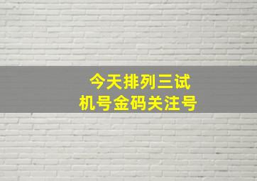 今天排列三试机号金码关注号