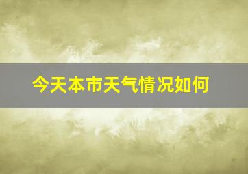 今天本市天气情况如何