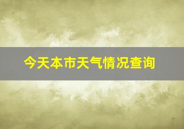 今天本市天气情况查询