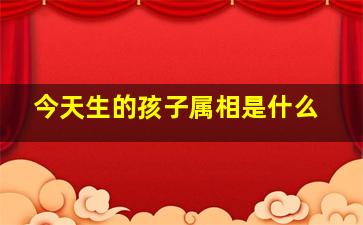 今天生的孩子属相是什么