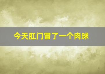 今天肛门冒了一个肉球